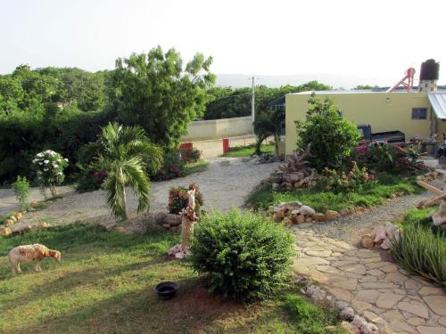 a garden with a dog standing in the grass at Corales Punta Rusia in Punta Rucia