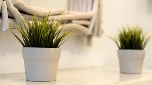 two potted plants are sitting on a table at Dream Island Hotel in Fira