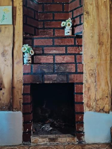 a brick fireplace with two potted plants on it at Cabaña doña Alicia in El Copey