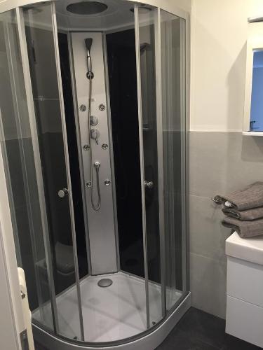 a shower with a glass door in a bathroom at Charmantes City-Apartment in der Altstadt in Bremen