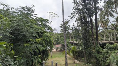 Jardín al aire libre en Harmony Hideaway Villa-Seeduwa