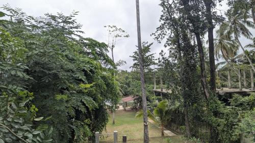 Jardín al aire libre en Harmony Hideaway Villa-Seeduwa
