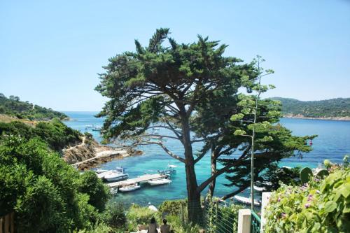 The best available hotels & places to stay near Port-Cros, France