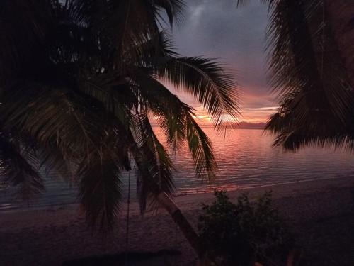a palm tree on a beach with a sunset at Iolana's Beach house - Beautiful Home in Punaauia