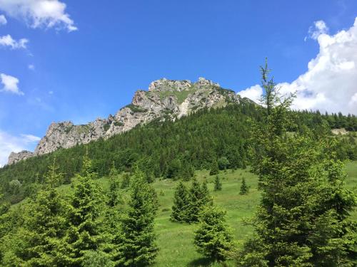 a mountain in the middle of a field with trees at Drevenica Vanesa in Terchová