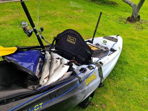 a boat full of fish sitting on the grass at Adventurer's Chest - Pohutukawa in Hotwater Beach