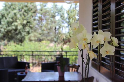 Giardino di Anna Rita Alghero B&B