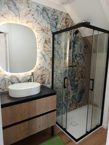a bathroom with a sink and a shower at Charmante maison indépendante avec jardin, 45 m2, clim, parking in Mondeville