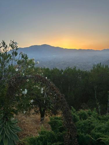 Gallery image of La Vieja Botica 2026 in Canillas de Aceituno