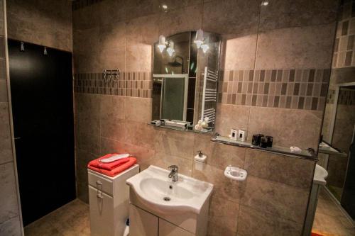 ein Bad mit einem Waschbecken und einem Spiegel in der Unterkunft Apartman Dimač in Topusko