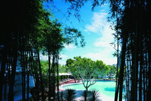 a view of a swimming pool through the trees at Grand Hyatt Erawan Bangkok in Bangkok