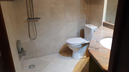 a bathroom with a toilet and a sink and a shower at Habitation Bonneville Chalet & Loft avec piscine et sauna in La Trinité