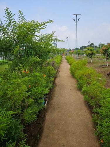 a dirt path through a garden with plants at Nana's Farm and Resort in Jāmb