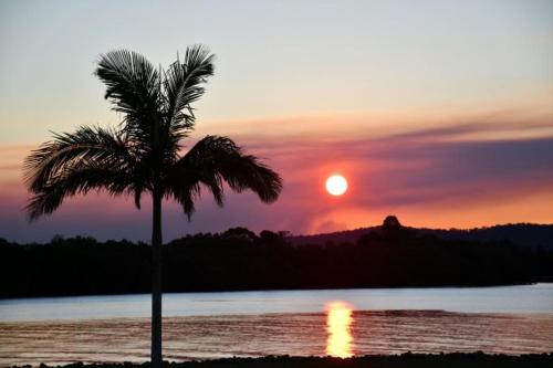 a palm tree on the beach with the sunset at Fishing Haven Holiday Park in Palmers Island
