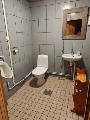 a bathroom with a toilet and a sink at Barn House Mäntyniemi in Hossa