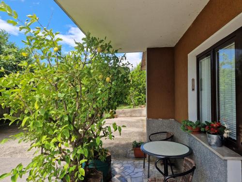 a patio with a table and a lemon tree at Apartma Zeleni mir in Dobravlje