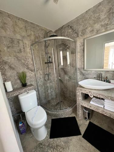 a bathroom with a shower and a toilet and a sink at Luxus Cluj Airport Apartments in Cluj-Napoca