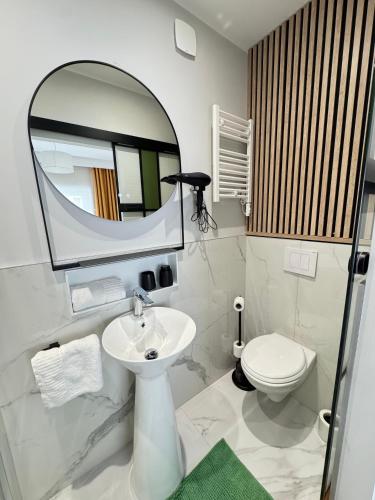a bathroom with a sink and a mirror and a toilet at Hélios Plage in Berck-sur-Mer