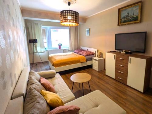 a living room with a couch and a bed at Apartment Carla in Karlovy Vary
