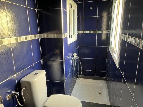 a blue tiled bathroom with a toilet and a window at Penthouse Armonía in Briech