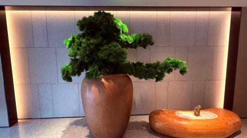 a brown vase with a plant in it next to a wooden bowl at JI Hotel Beijing Changping Future Science City in Beijing