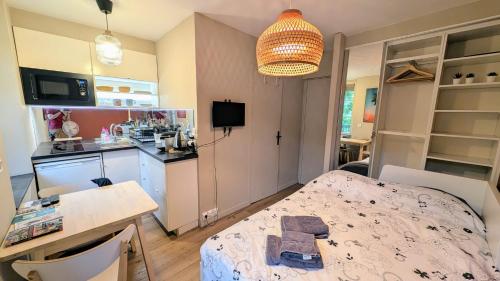 Cette petite chambre comprend une cuisine, une table et une salle à manger. dans l'établissement LET'S Studio L'Escale in Lyon, à Lyon