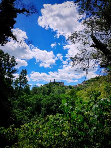 a castle on top of a hill with trees at La Casa nel Borgo - Licenza in Licenza