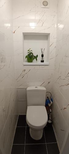a bathroom with a toilet and a plant on a shelf at Sea&Sun in Liepāja