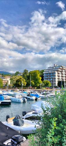 Gallery image of Studio au bord du lac in Évian-les-Bains