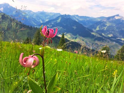 Paesaggio naturale nelle vicinanze dell'aparthotel