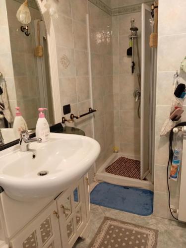 索拉纳斯B&B Is Pranus a Mari Casa Privata的带水槽和淋浴的浴室