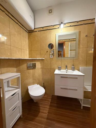 a bathroom with a toilet and a sink and a mirror at Kuźnia-Grodno in Krzywa Wieś