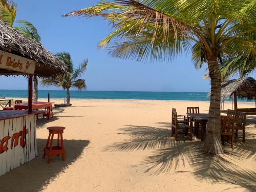 a beach with tables and chairs and a palm tree at The Tasty Tuna Cabana in Arugam Bay