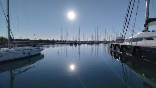 Magnificent sailboat with free parking for cars photo 10