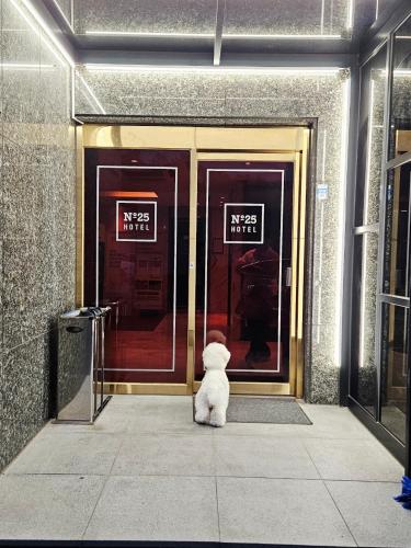 a white dog sitting in front of a door at GijangYeonhwari No,25 Hotel in Busan