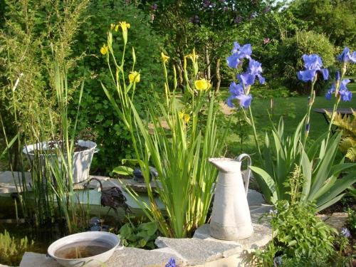 a garden with blue flowers and a white vase at Le verger in Pluneret