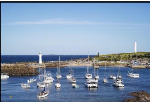 a group of boats docked in a harbor with a lighthouse at beach pad in Wollongong