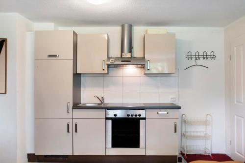 Dapur atau dapur kecil di Friesenhof Nordsee