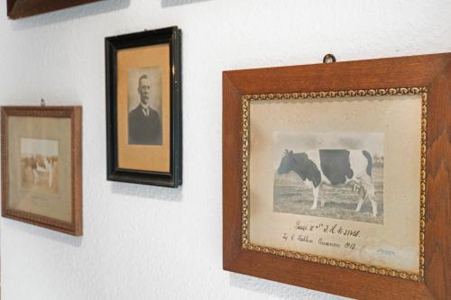 Gambar di galeri bagi Friesenhof Nordsee di Wangerland