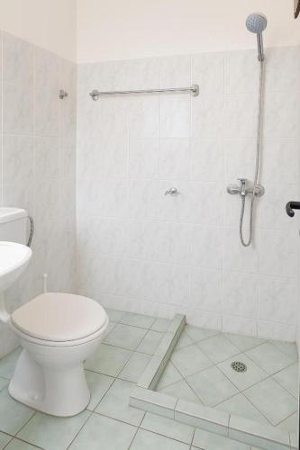 a white bathroom with a toilet and a shower at Hotel Ardian in Golem