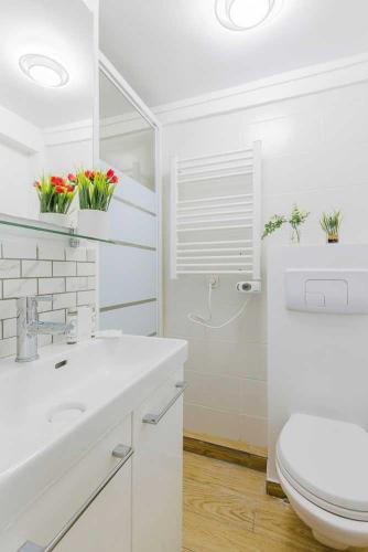 Charming studio - 2P - Luxembourg