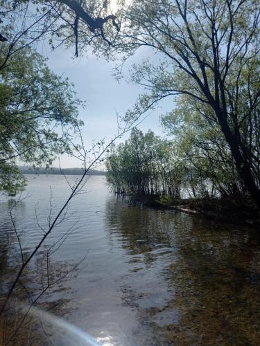 a view of a body of water with trees at Casa Vacanze La Favola Rosa sul Lago di Varese in Gavirate