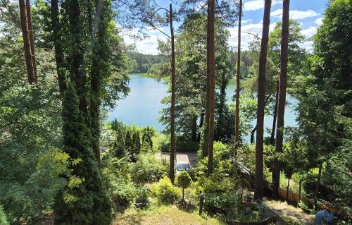 vista sul lago attraverso gli alberi di Domek z widokiem na jezioro, Borówno Wielkie, Kaszuby, pomorskie a Skarszewy