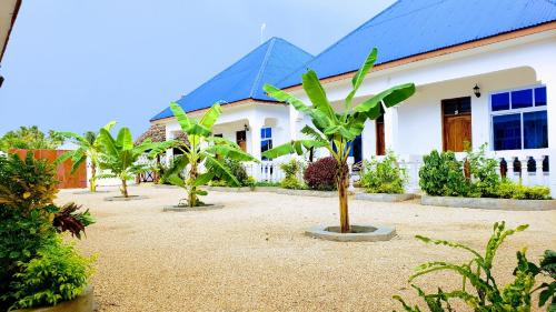 a group of palm trees in front of a building at Zenji poa villas in Jambiani