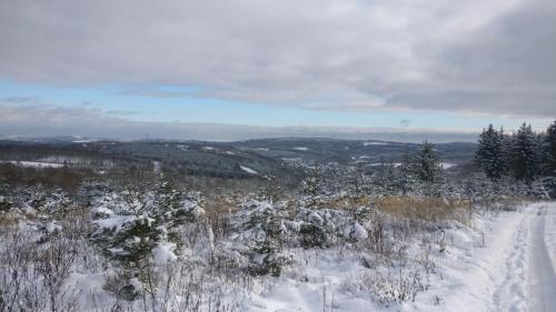 a snow covered field with trees and a dirt road at Ferienwohnung in Wilnsdorf OT Wilden neu erstellt & hochwertig in Wilnsdorf