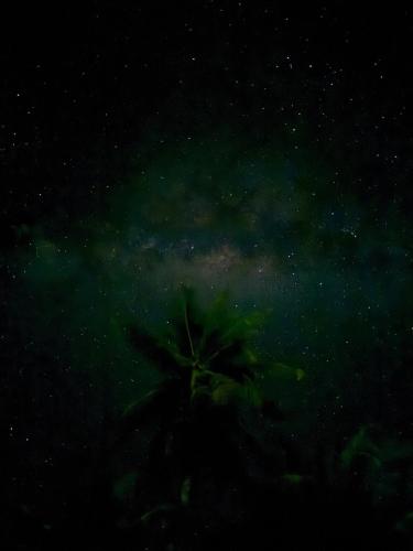 Maupiti Bambou Camping, hébergement à Maupiti