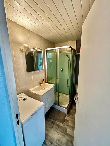 une salle de bain avec douche et lavabo dans l'établissement Appartement avec loggia et mezzanine, bord de mer, 4 personnes, à Argelès-sur-Mer