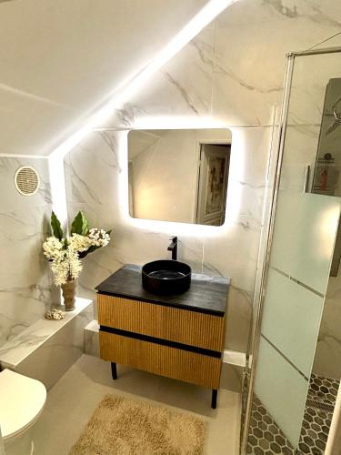 a bathroom with a sink and a toilet and a mirror at T2 duplex- piscine- vue mer in Saint-Paul
