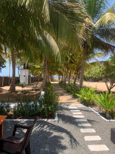 a chair sitting under palm trees on a beach at The Tasty Tuna Cabana in Arugam Bay