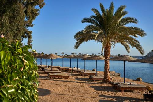 a row of benches and umbrellas on a beach at Hotel Sultan Bey Resort in Hurghada